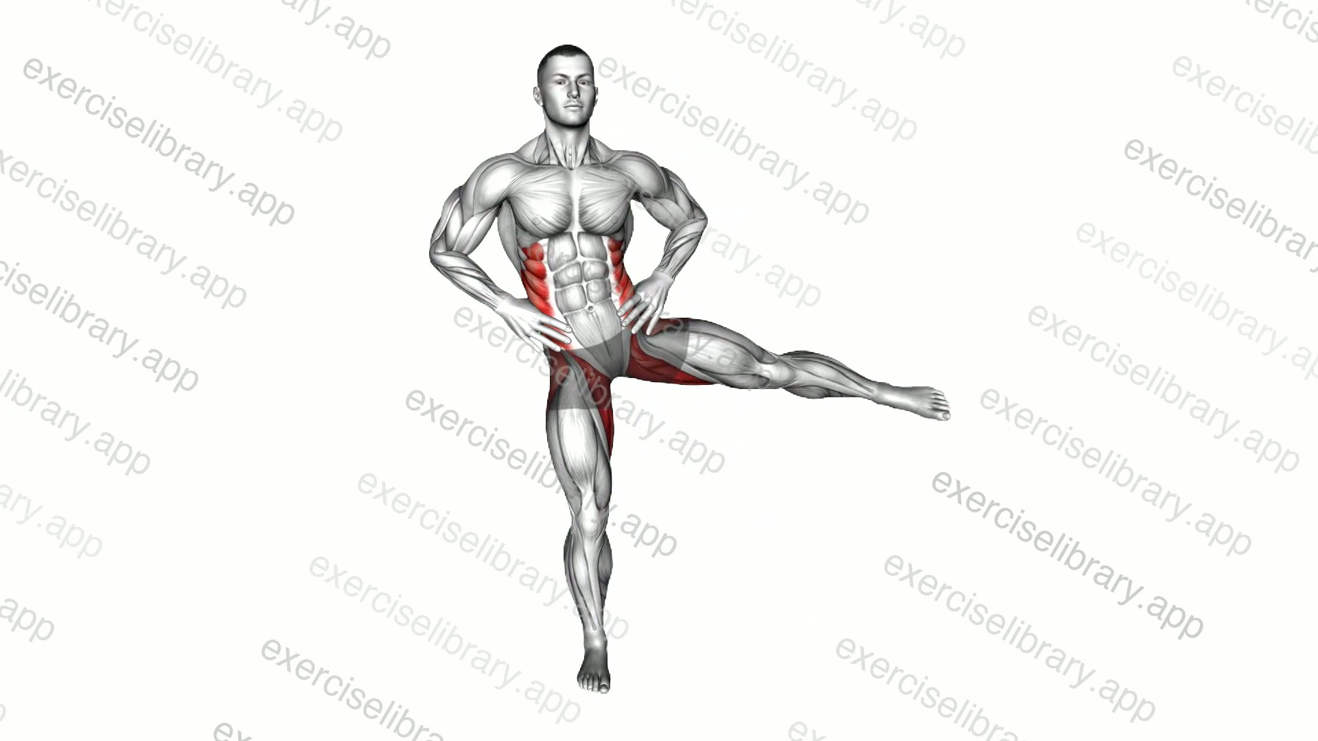 Standing Side Leg Raise demonstration