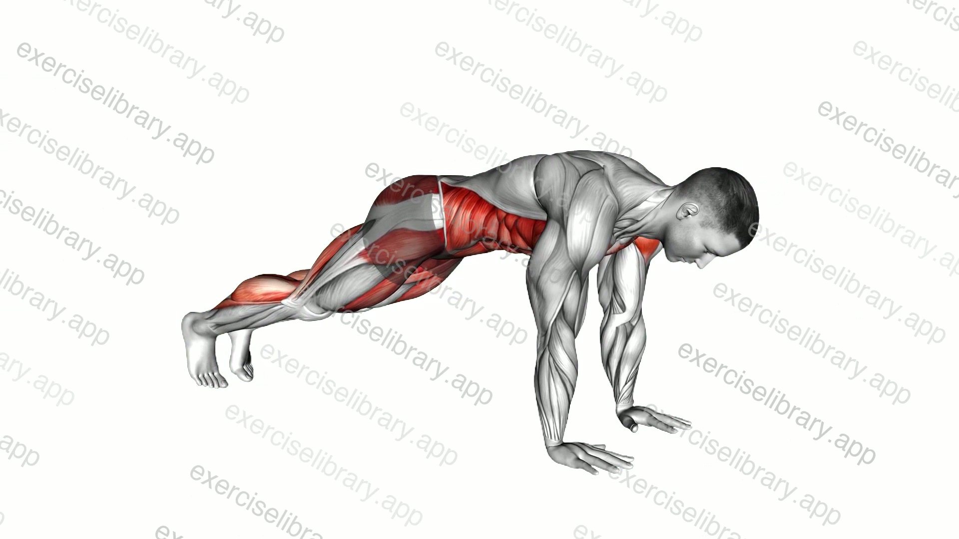 Plank Jack demonstration