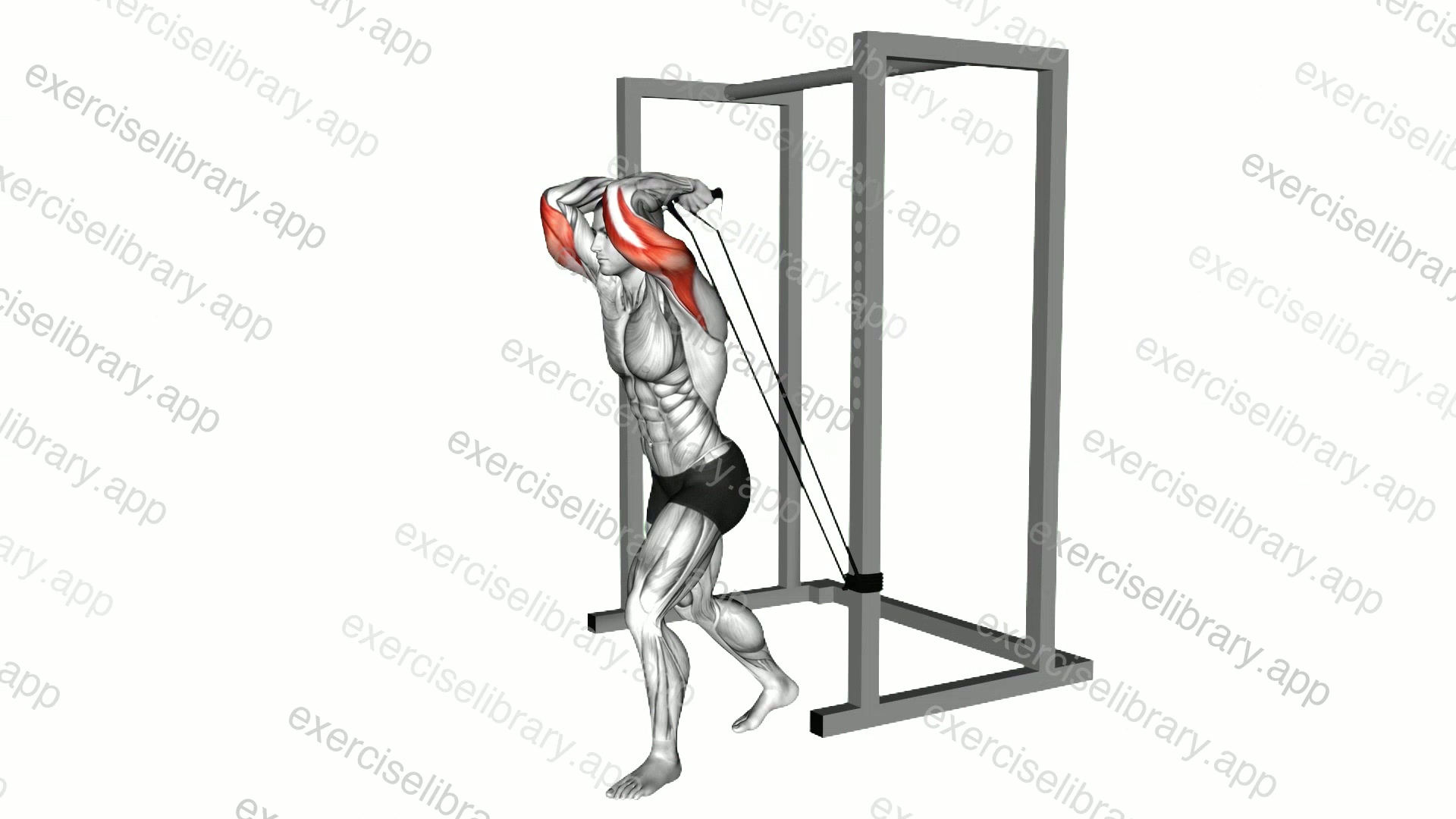 Band overhead triceps extension demonstration