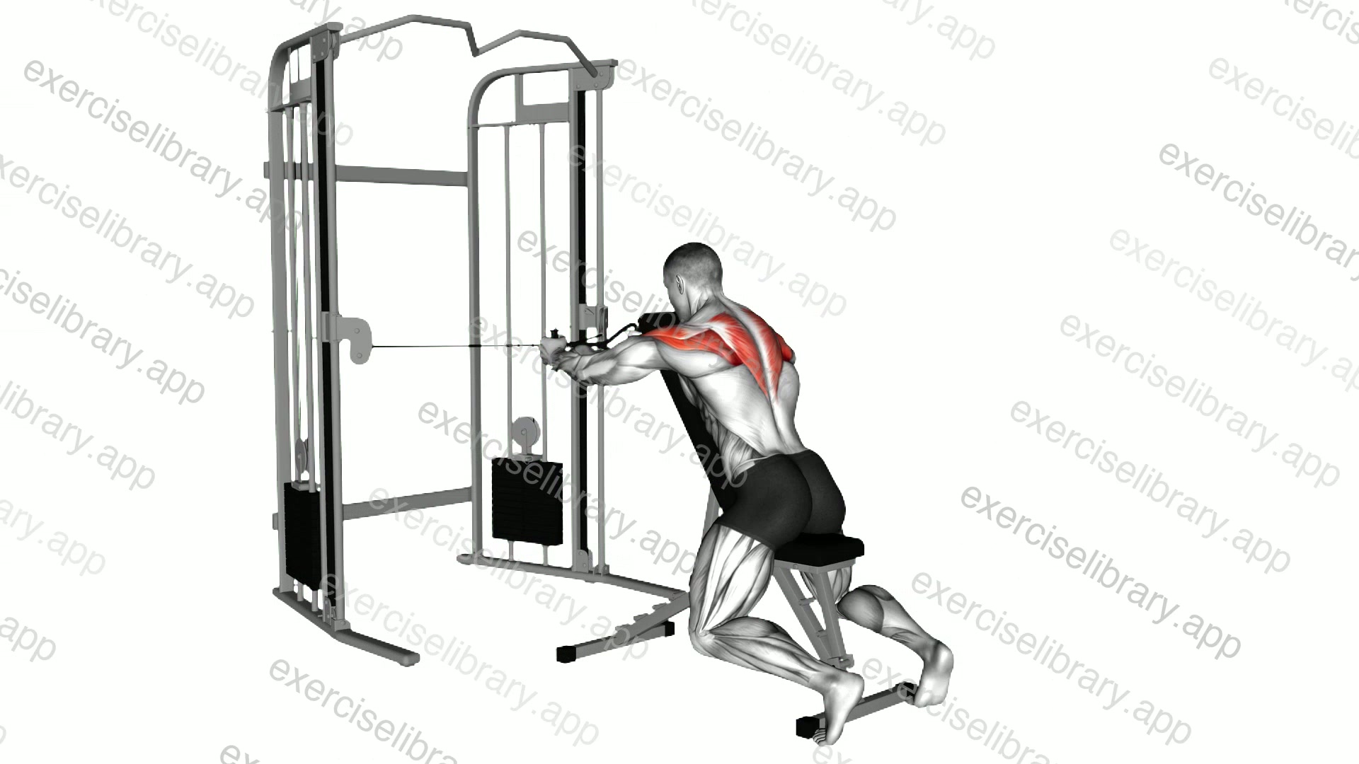Cable Seated Rear Delt Fly with Chest Support demonstration