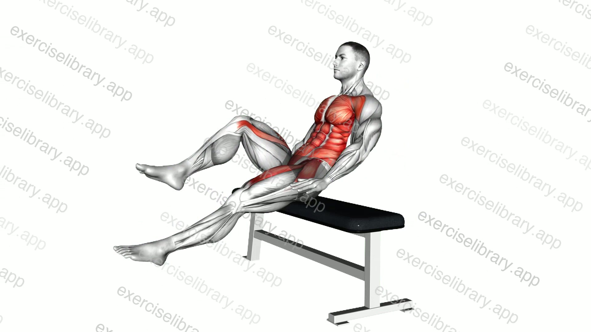Seated Alternate Crunch demonstration