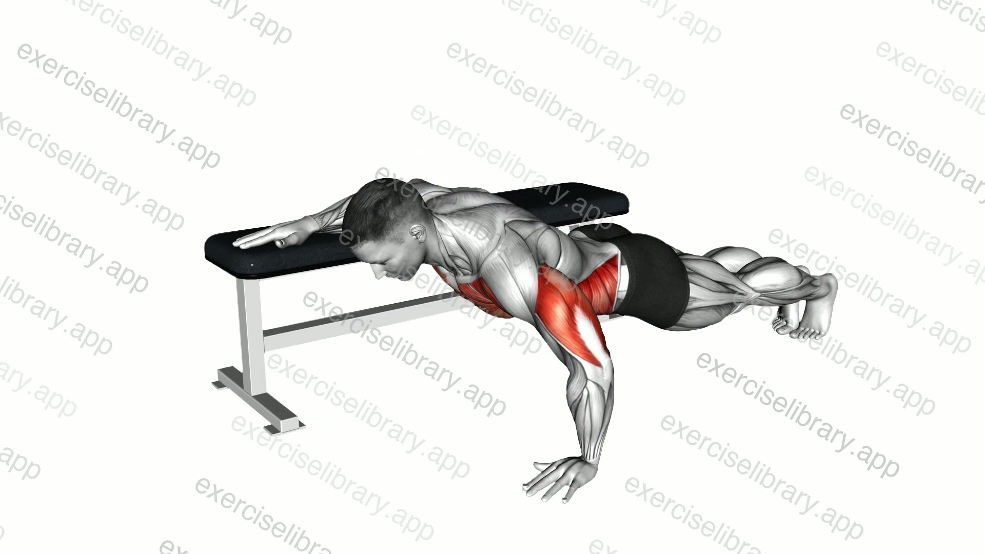 Twist Push-up demonstration