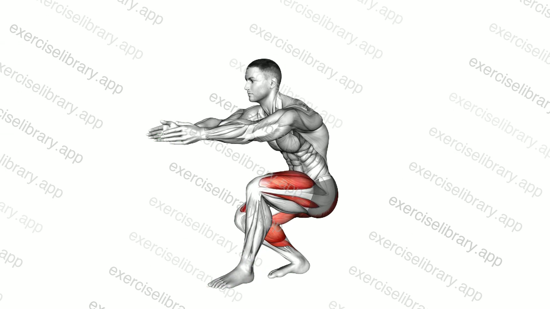 Static Lunge Kick demonstration