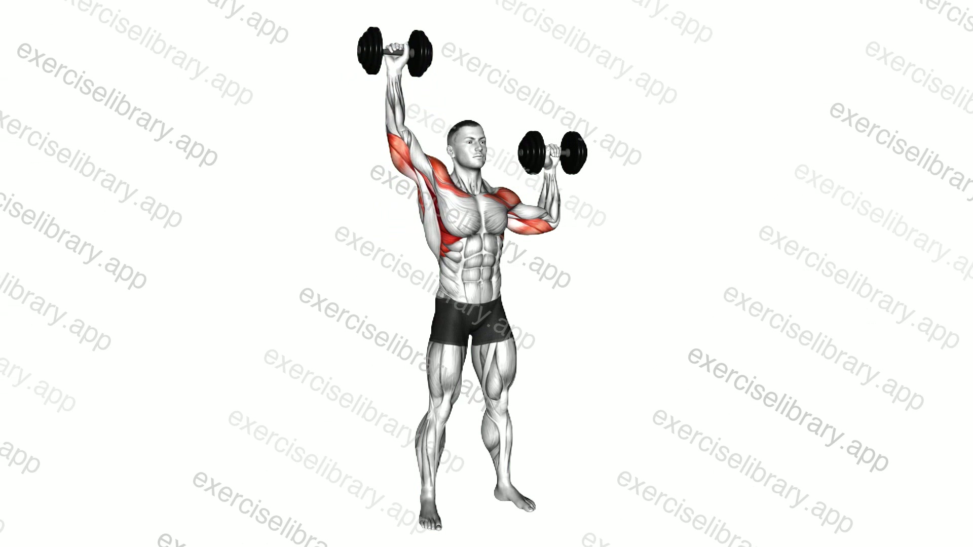 Dumbbell Alternate Shoulder Press demonstration