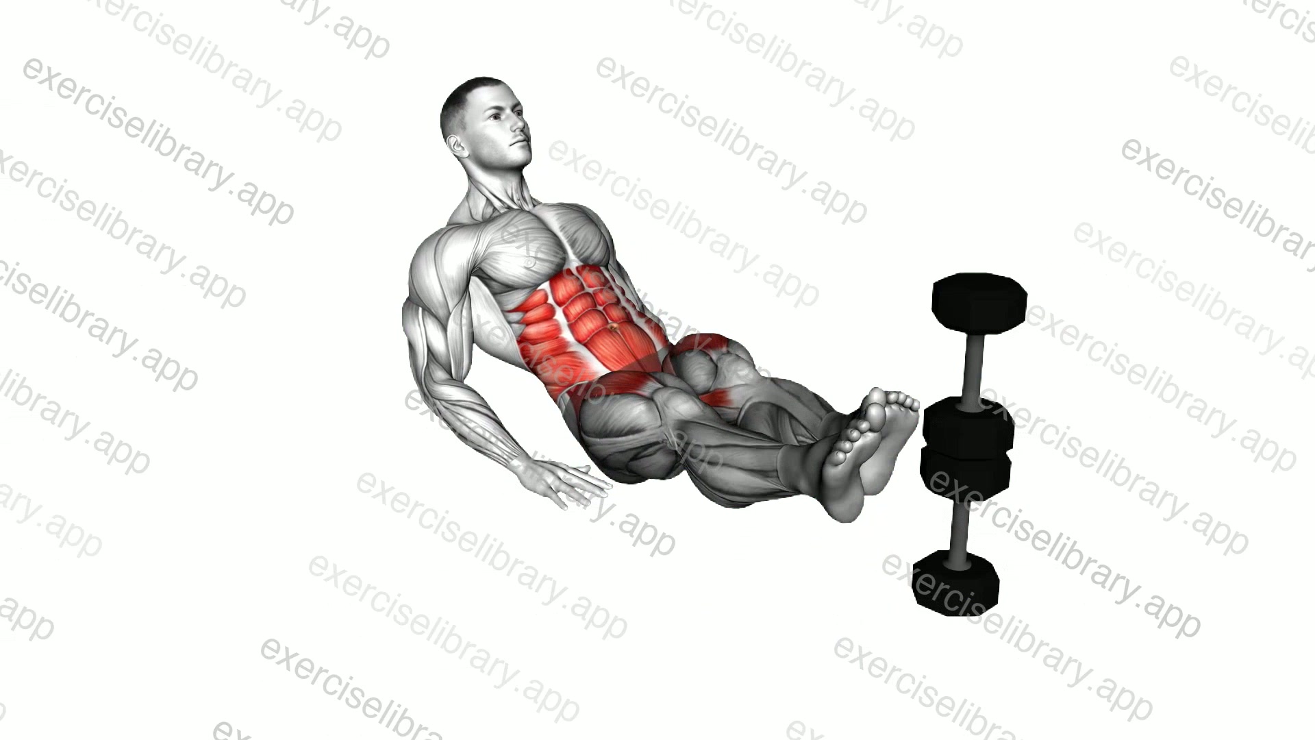 Seated Side to Side Leg Raise Crunch on Floor demonstration