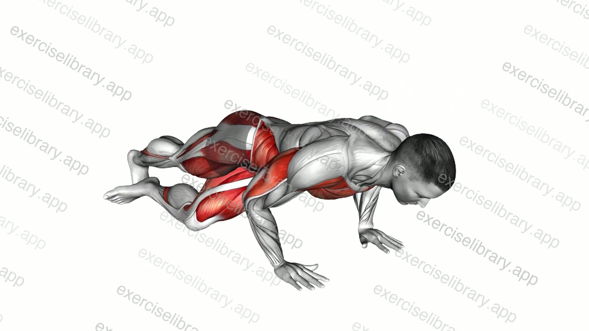 Cross Body Push-up demonstration