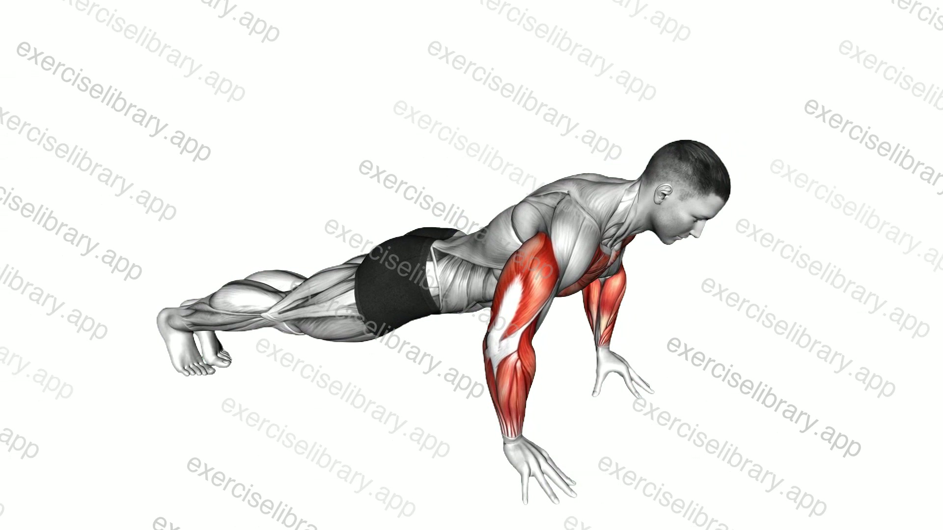 Finger Push-up demonstration