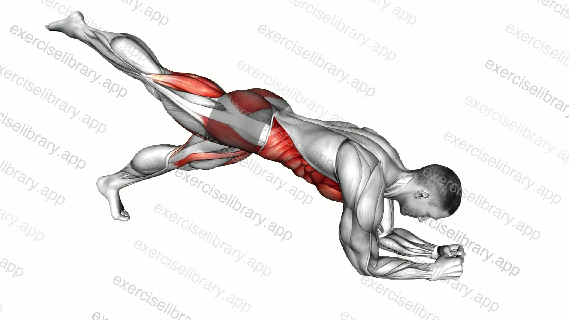 Leg Lift to Chest Front Plank demonstration