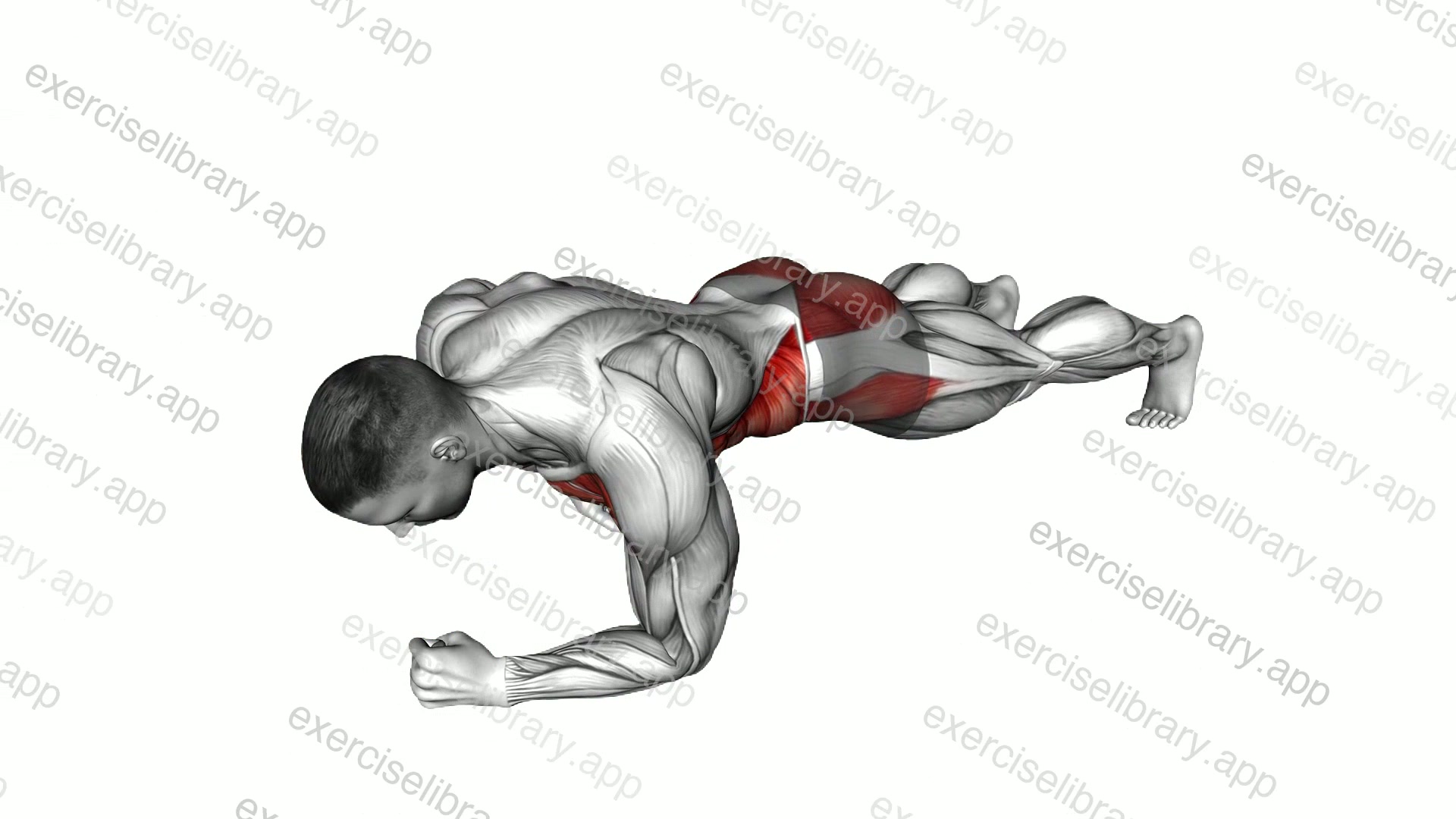 One Arm Front Plank demonstration