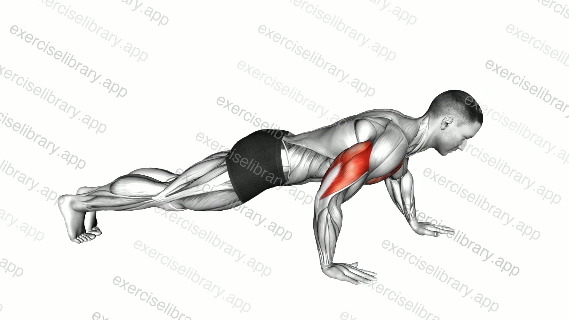 Push-up Hand by Hand demonstration