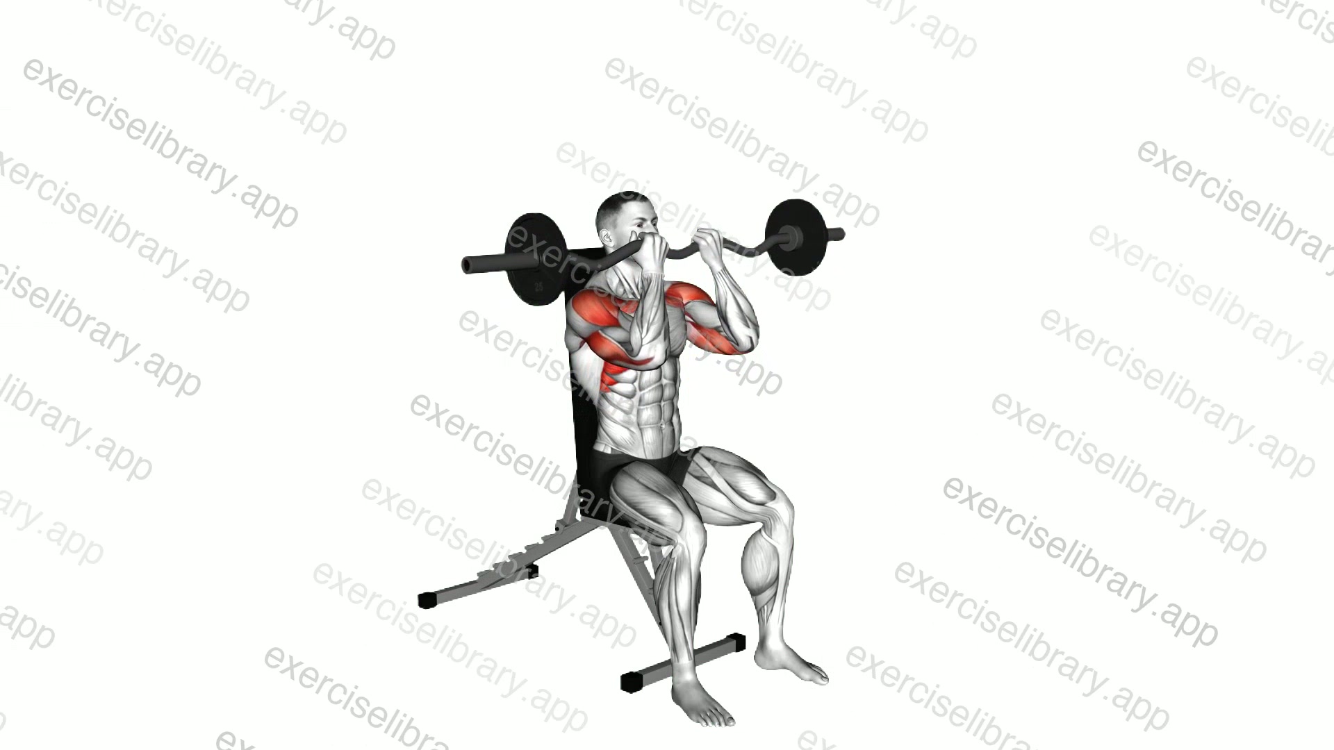 EZ bar Seated Close grip Shoulder Press demonstration
