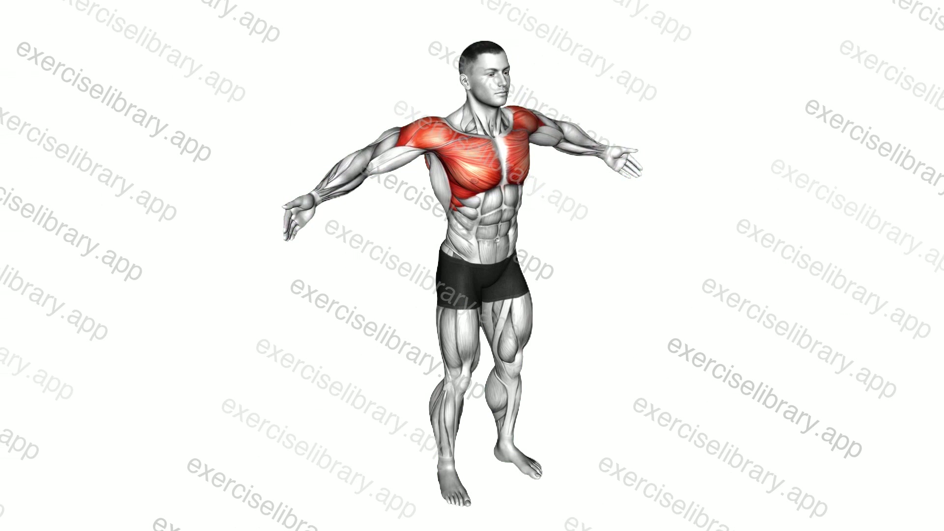Back Slaps Wrap Arround Stretch demonstration