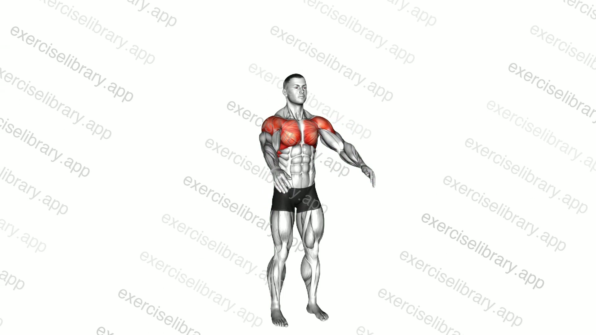 Circles Arm demonstration