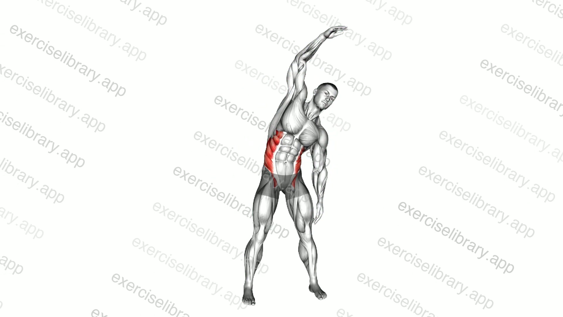 Standing Side Bend demonstration