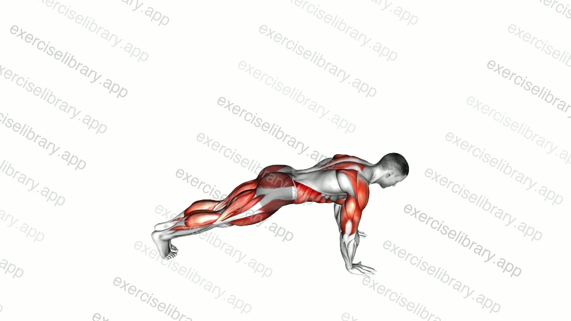 Low Lunge Twist demonstration
