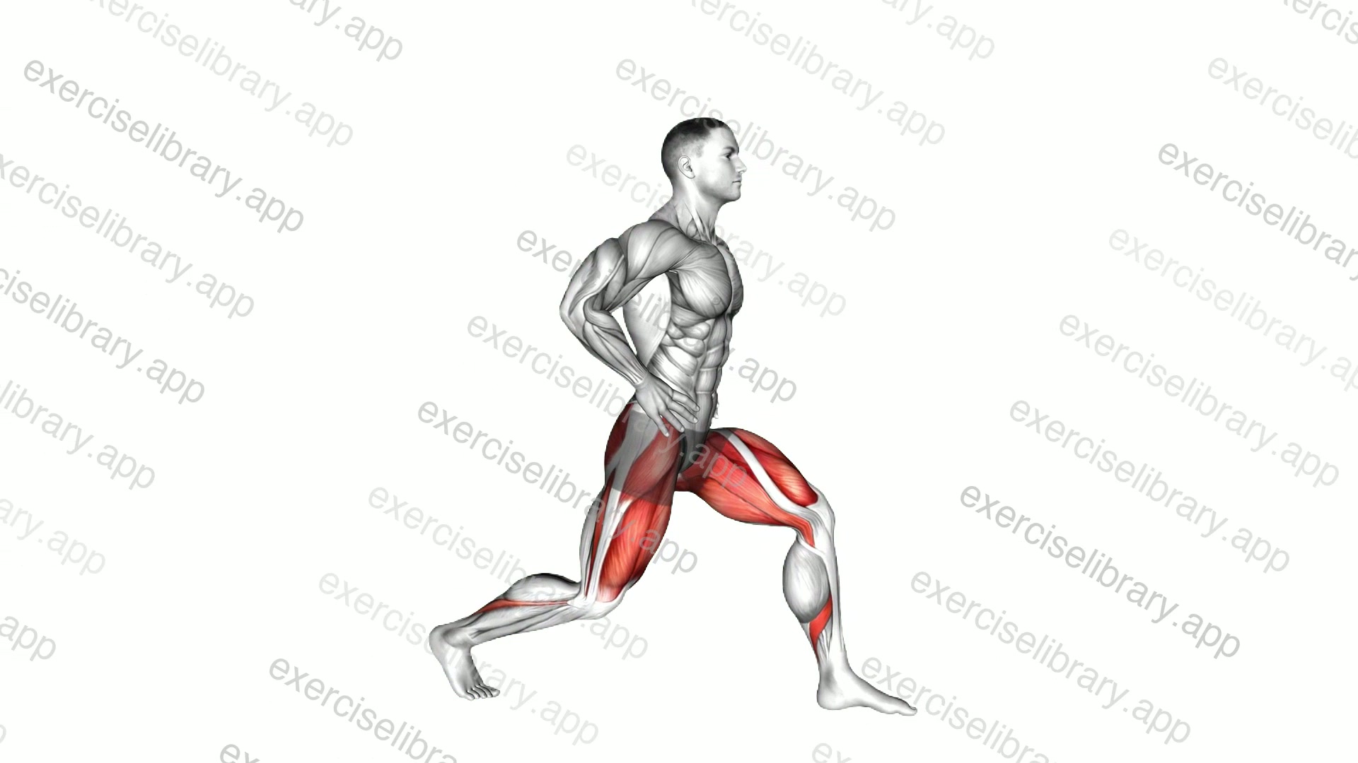 Static Lunge demonstration