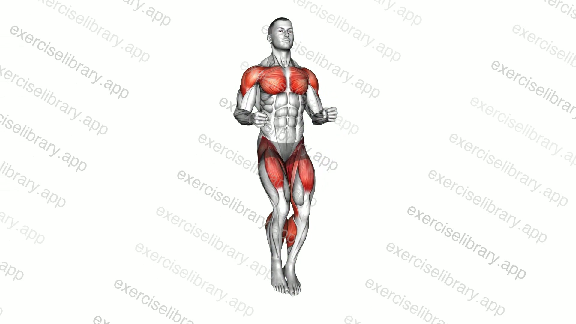 Place Jog demonstration