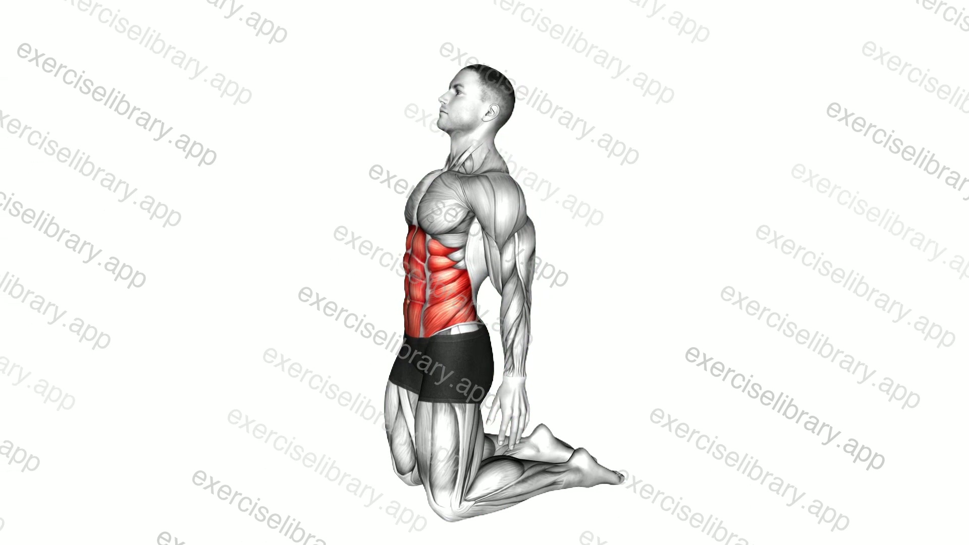 Backward Abdominal Stretch demonstration