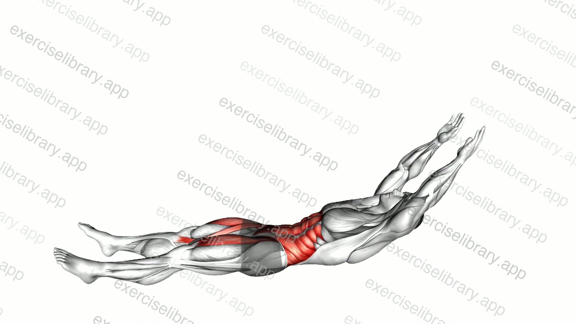 Straight Leg Sit-Up demonstration
