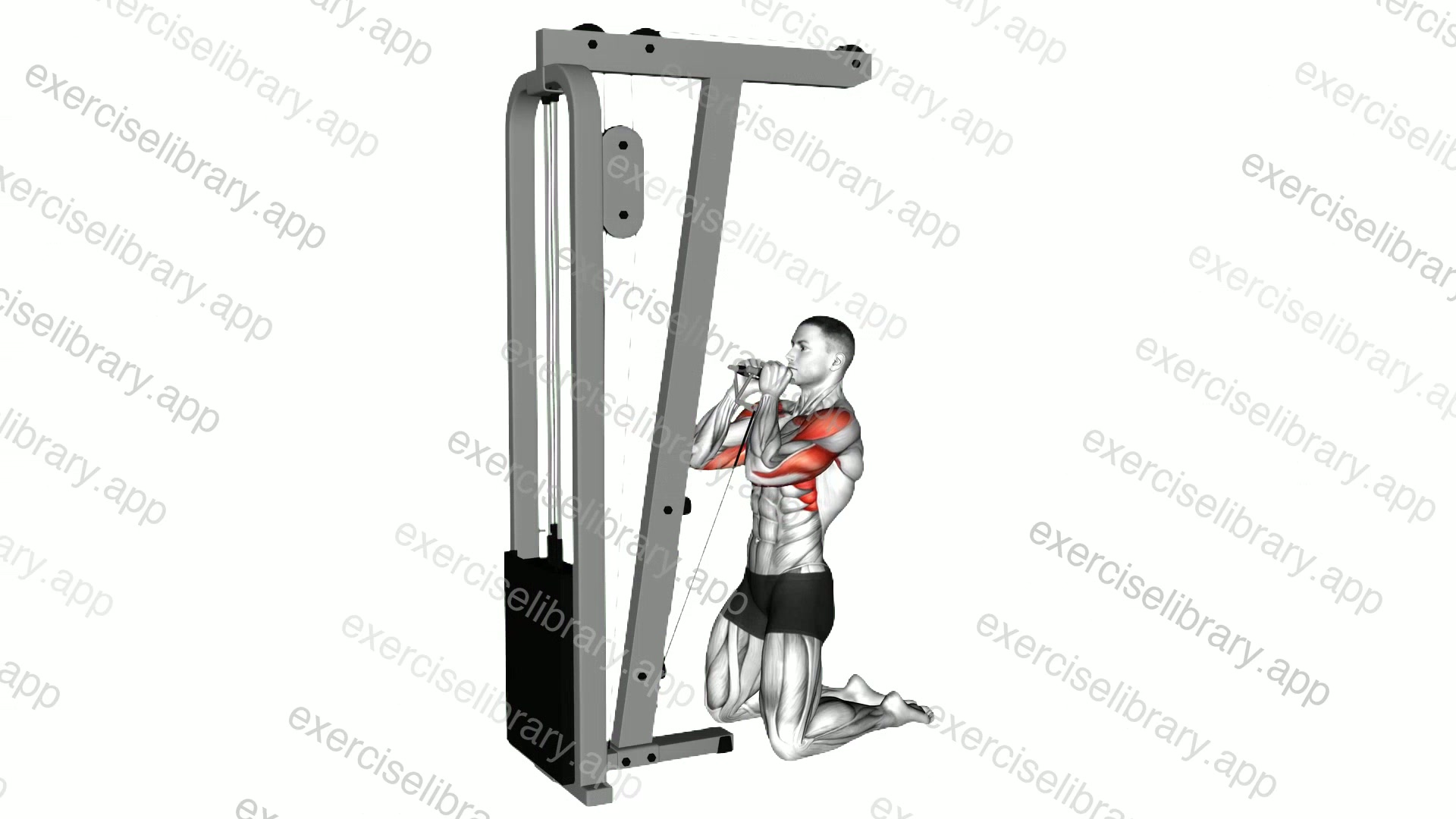 Cable Kneeling Shoulder Press demonstration