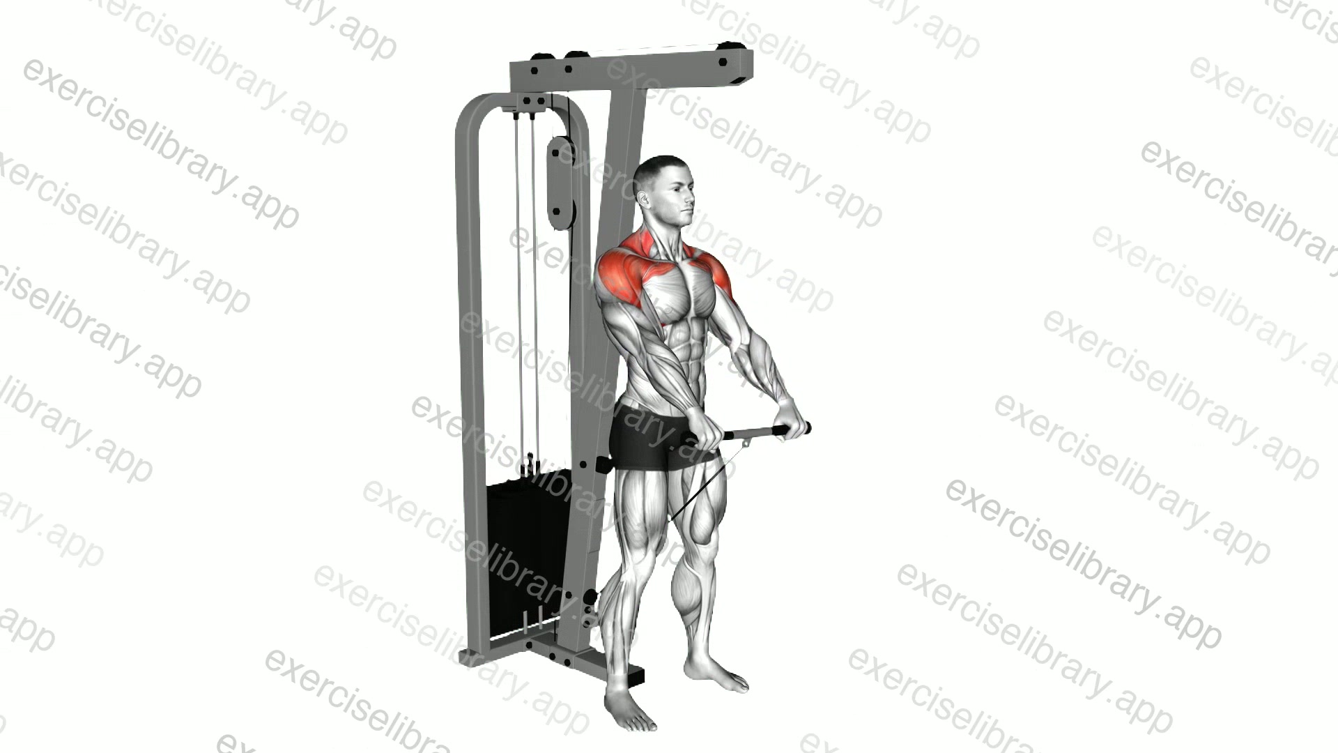 Cable Standing Front Raise Variation demonstration