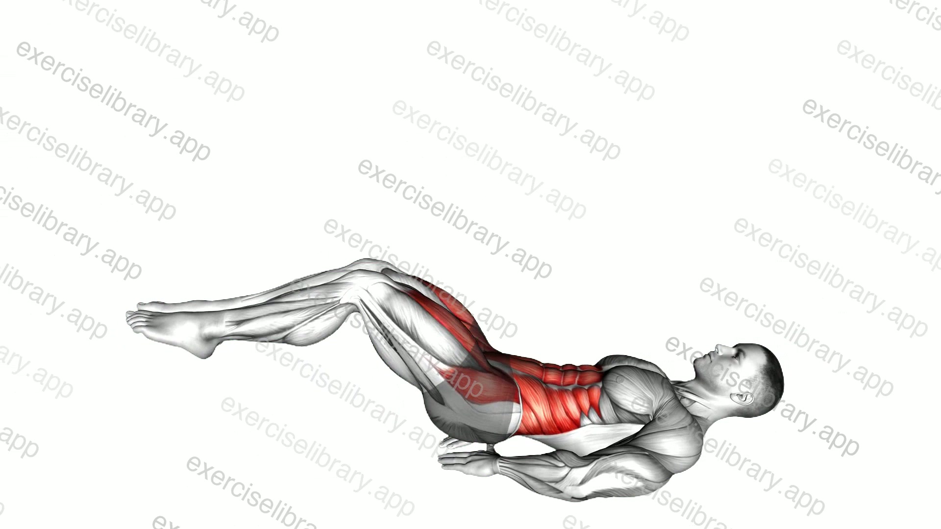 Lying Leg Hip Raise on Floor demonstration