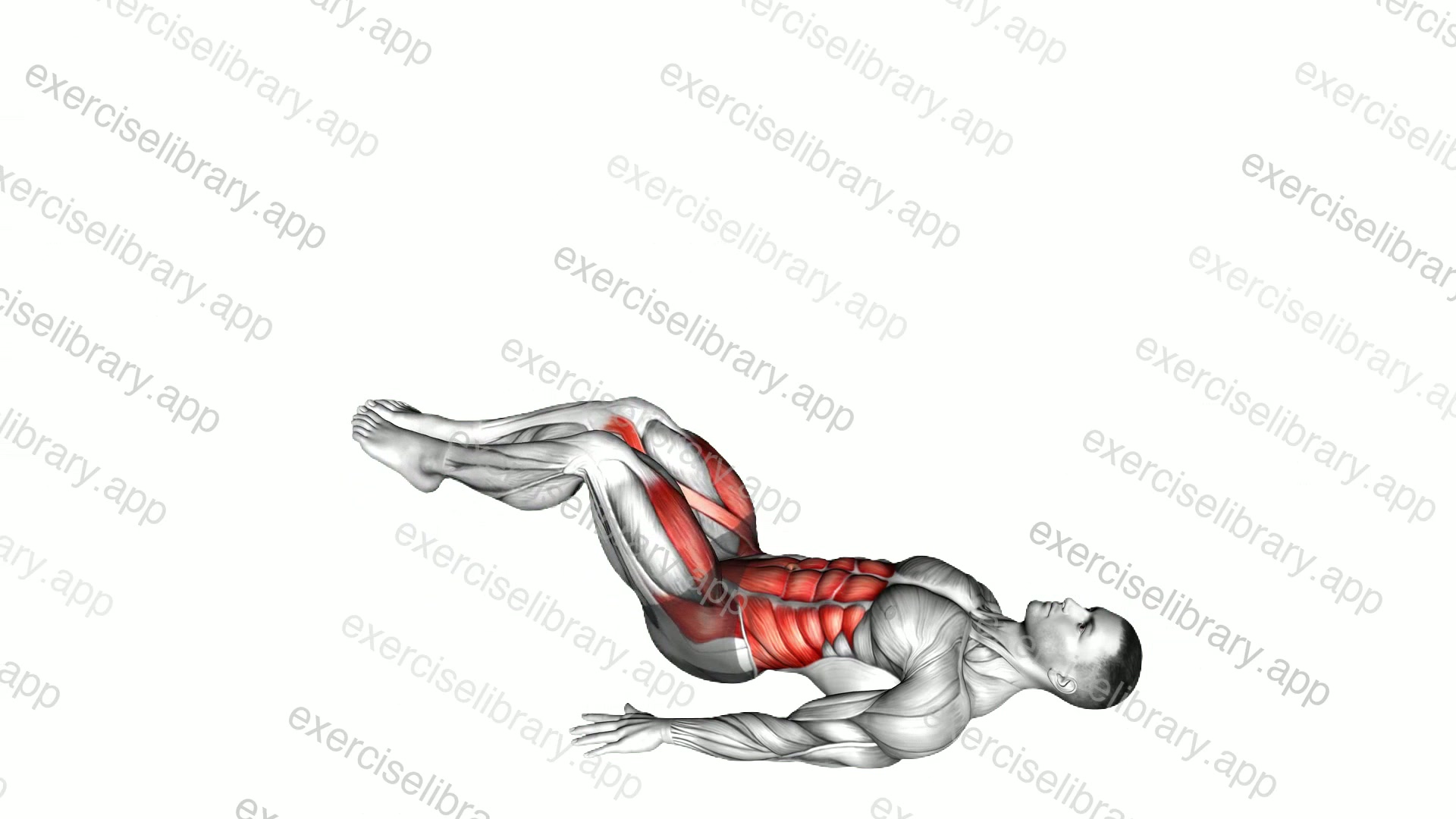 Reverse Crunch demonstration