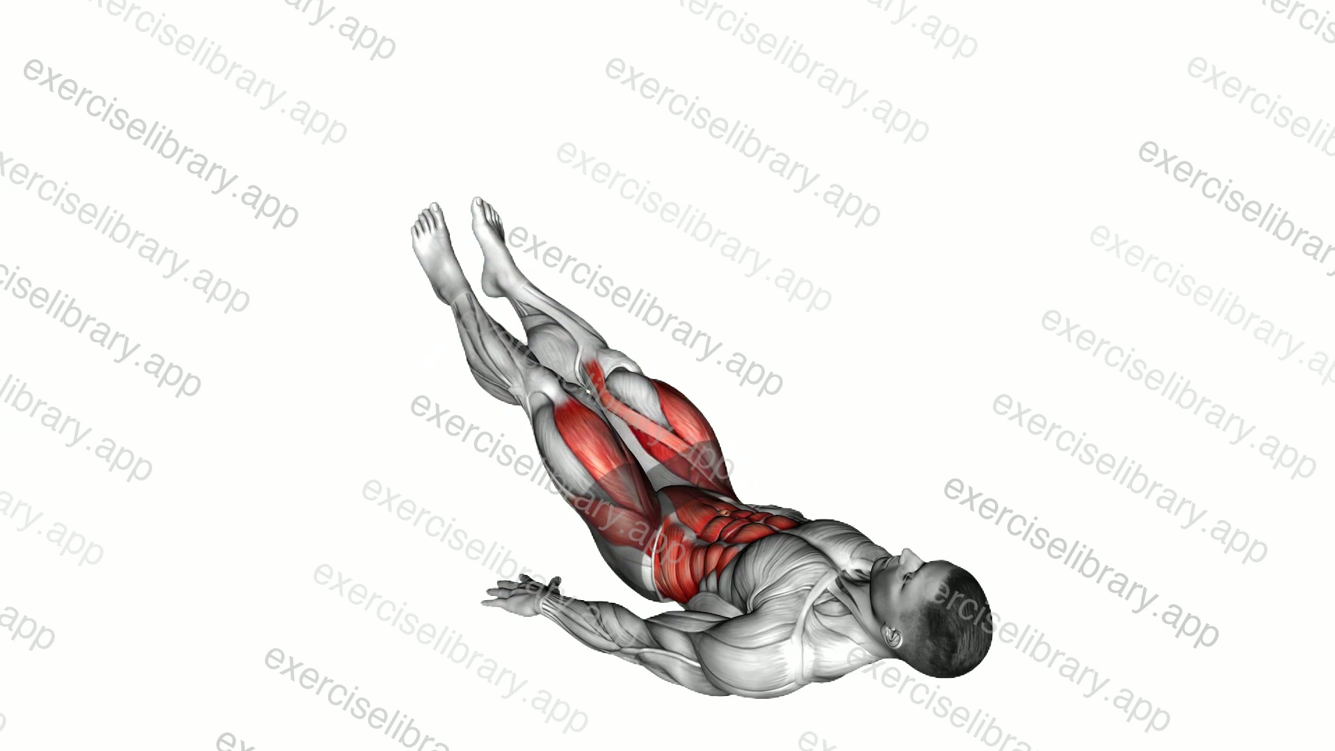 Criss Cross Leg Raises demonstration