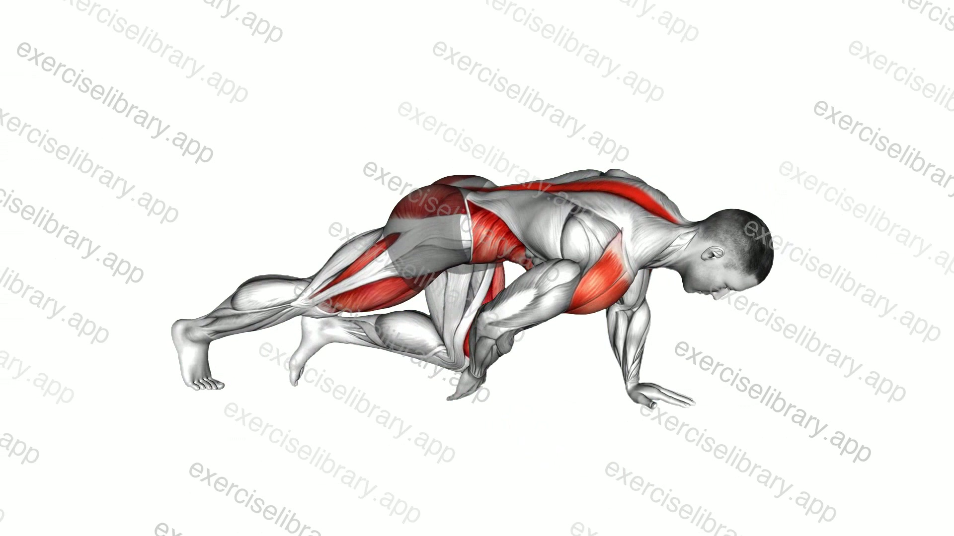 Front Plank to Toe Tap demonstration