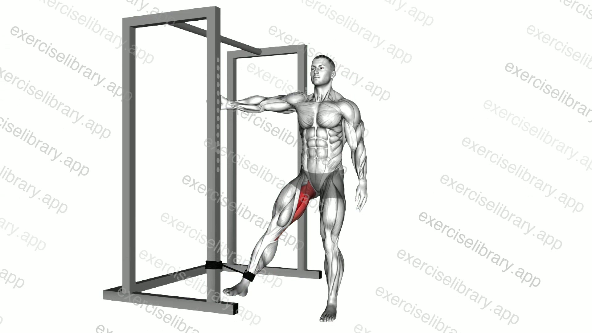 Band Hip Adduction demonstration