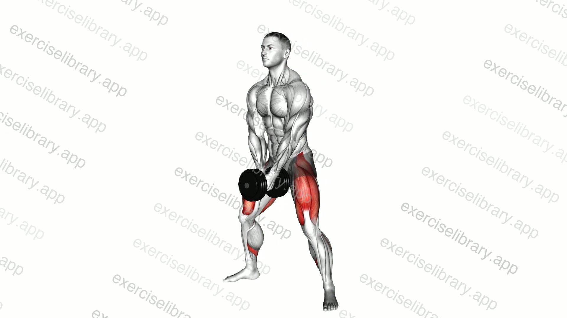 Dumbbell Bar Grip Sumo Squat demonstration
