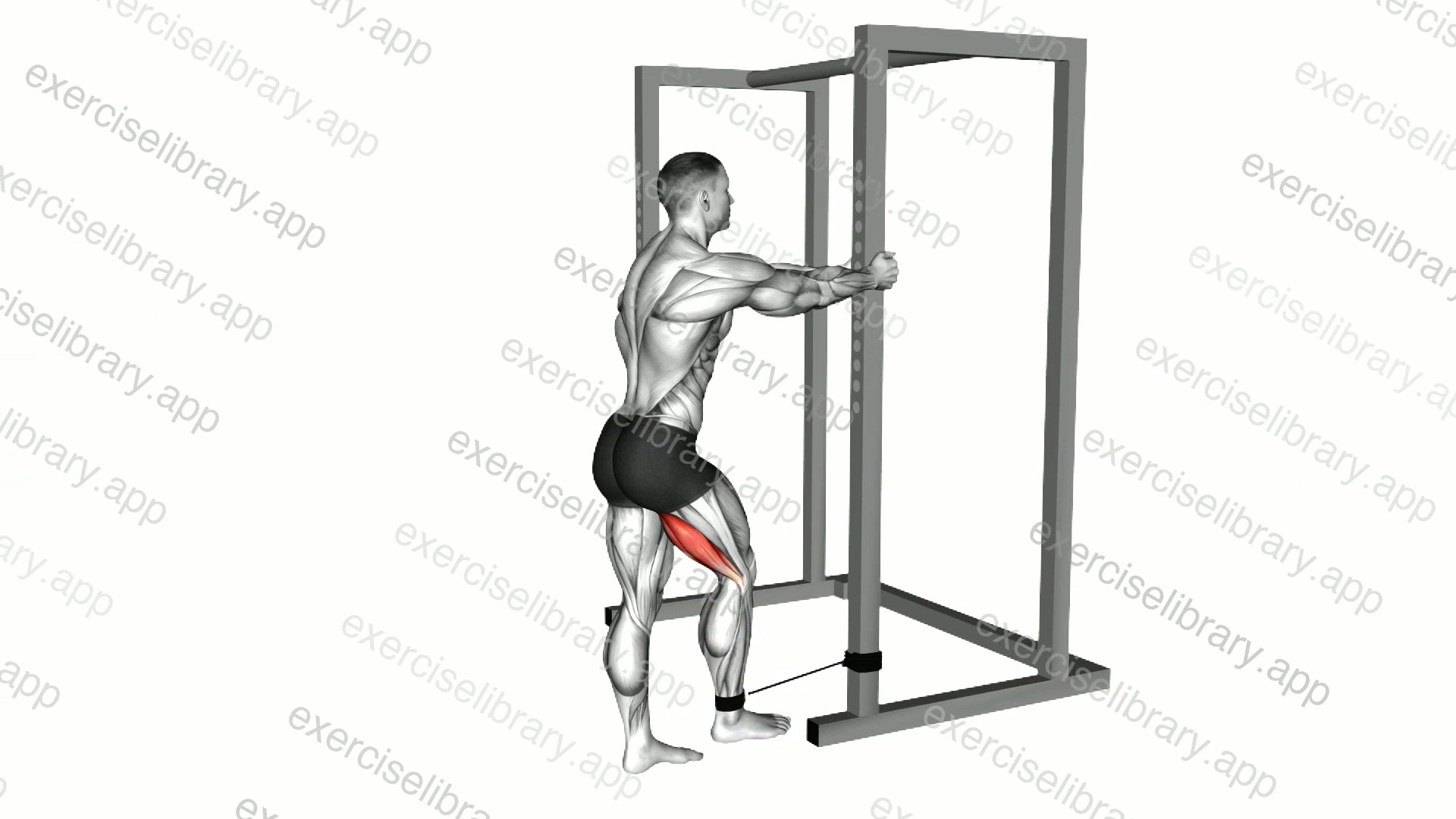 Band Standing Leg Curl demonstration