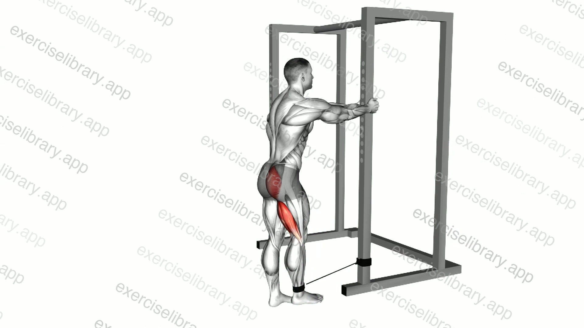 Band Standing Hip Extension demonstration