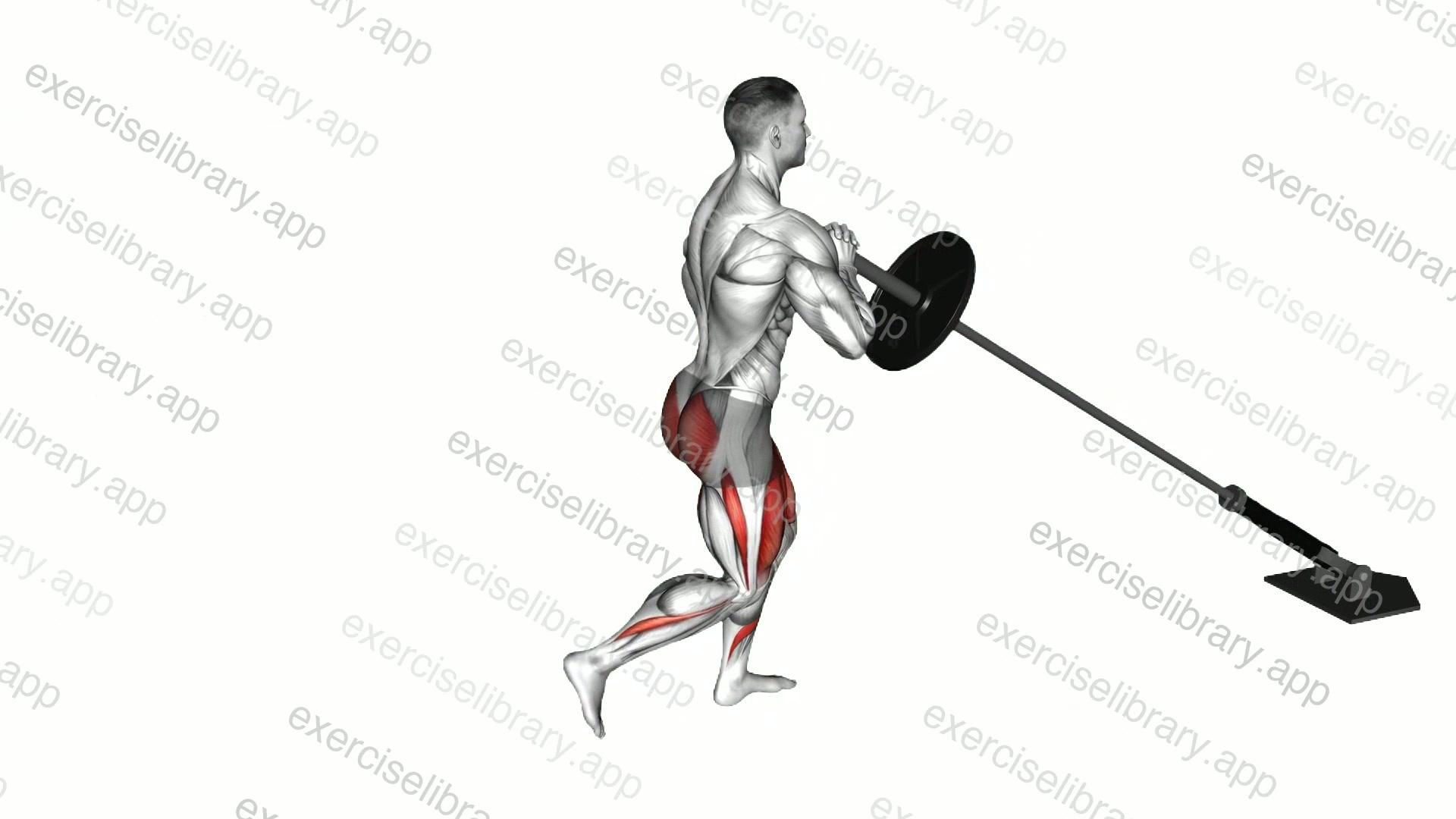 Landmine Rear Lunge demonstration