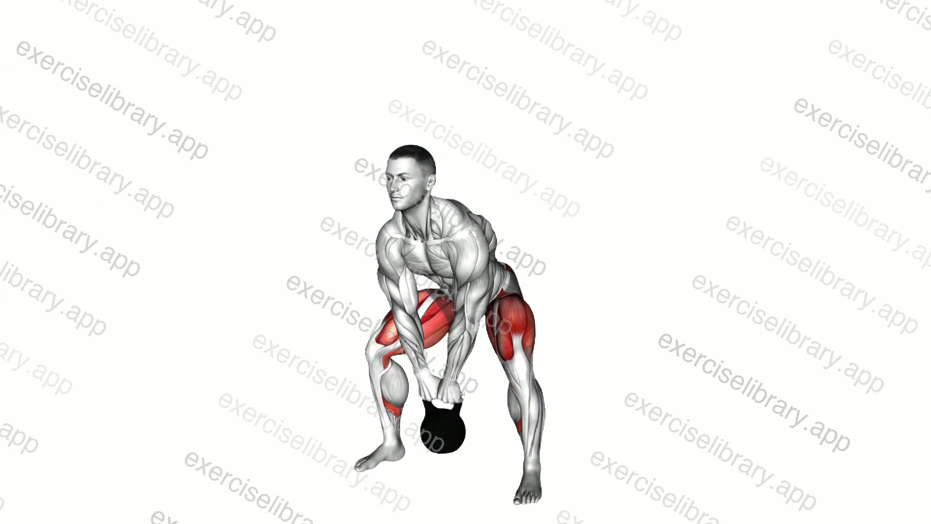 Kettlebell Sumo Deadlift demonstration