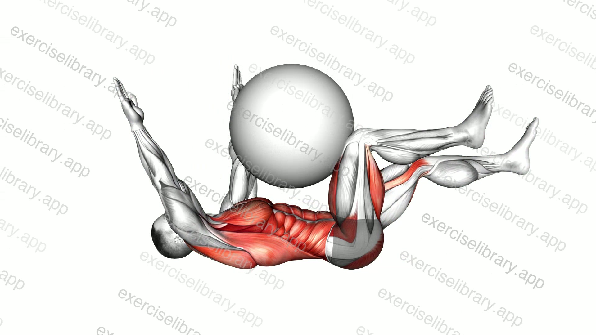 Dead Bug with Stability Ball demonstration