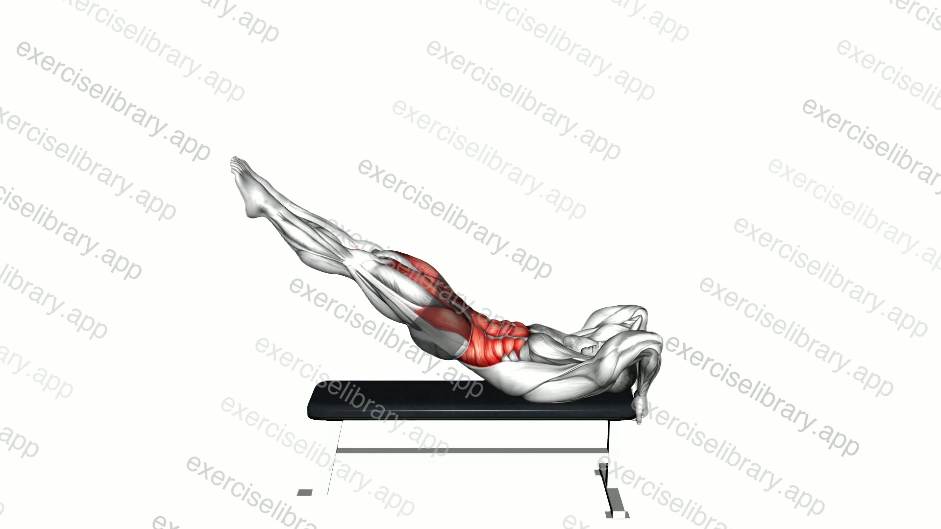 Leg Raise Dragon Flag demonstration