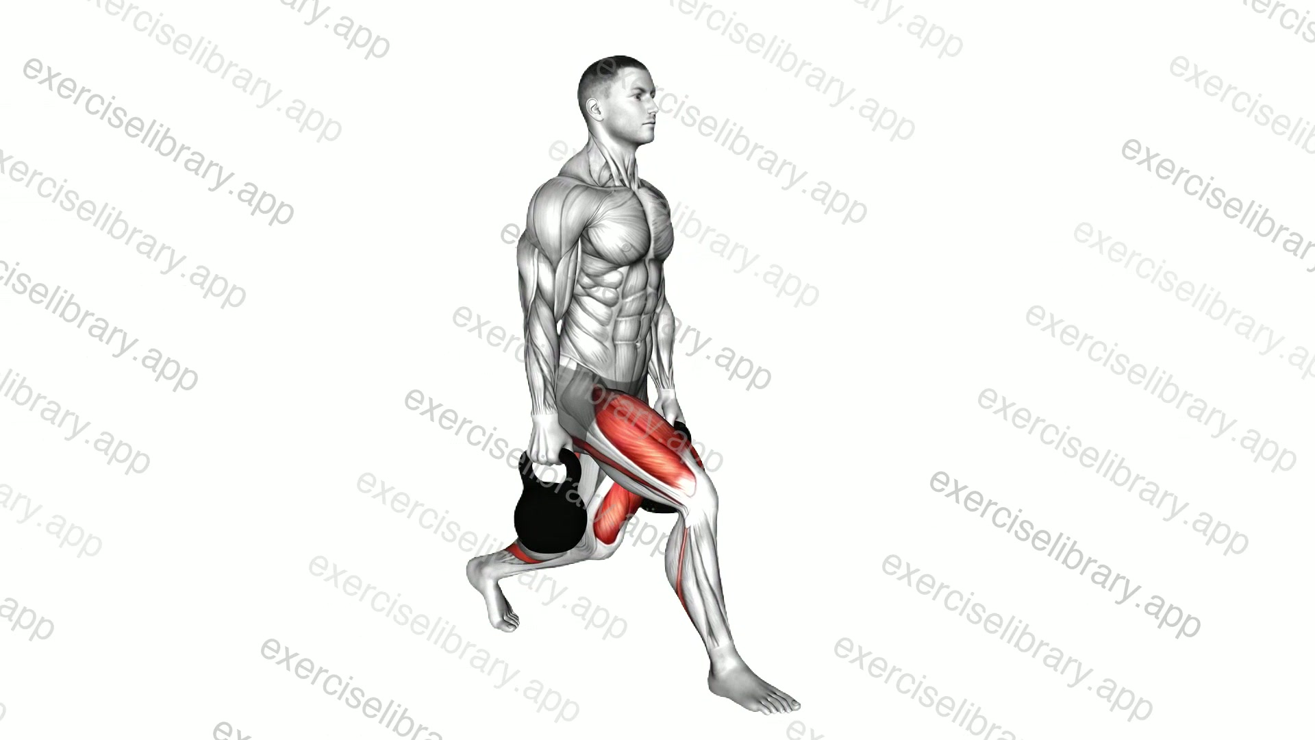 Kettlebell Split Squat demonstration