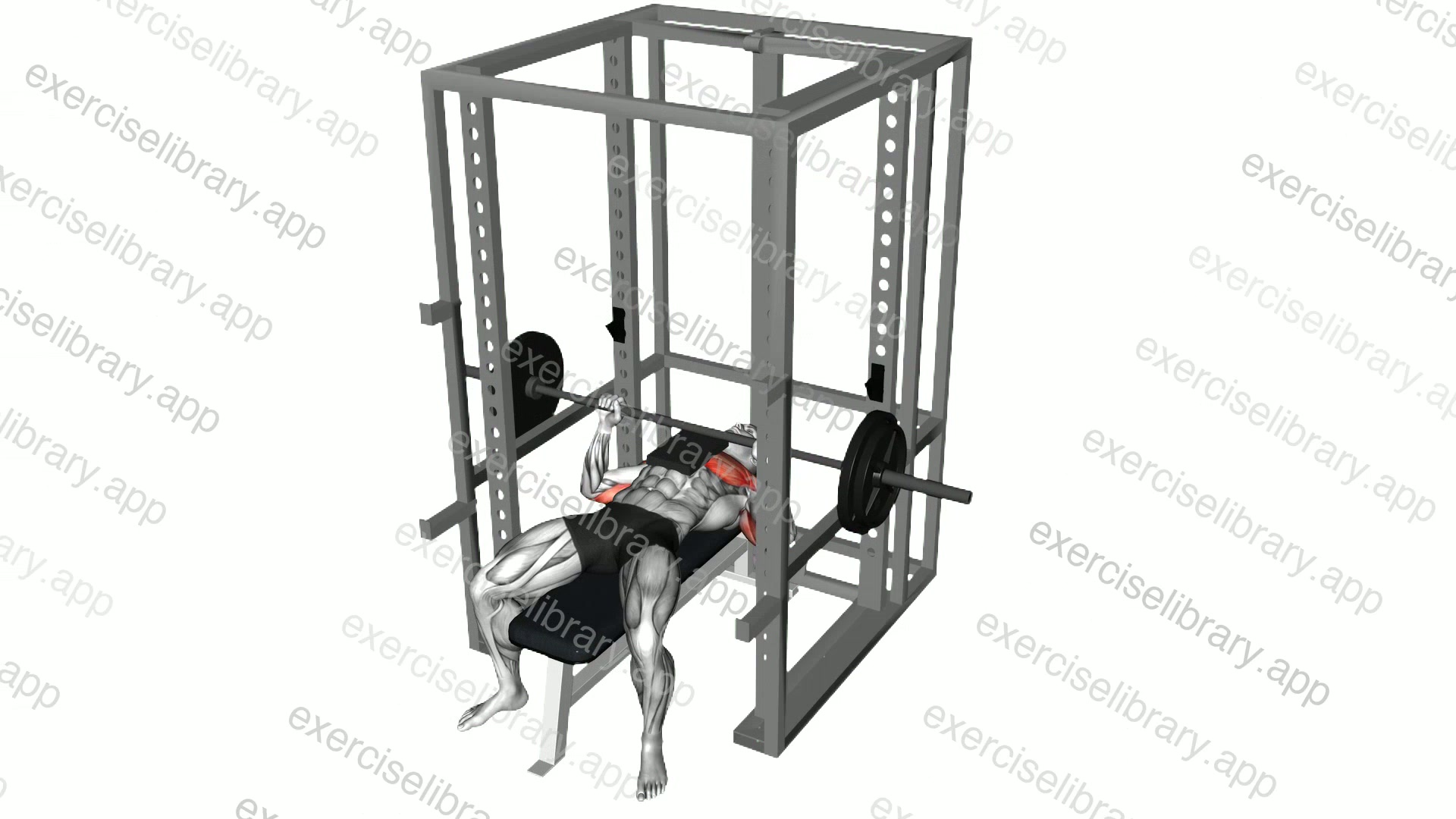 Barbell Bench Press with 1 board demonstration