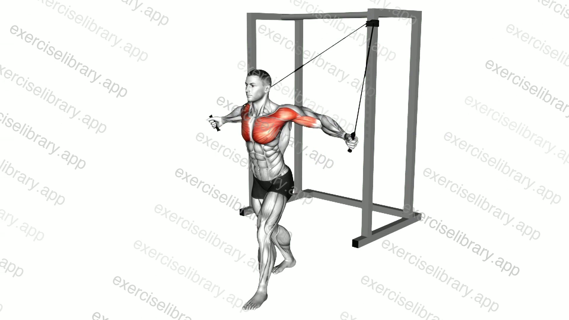 Band Low Chest Fly demonstration