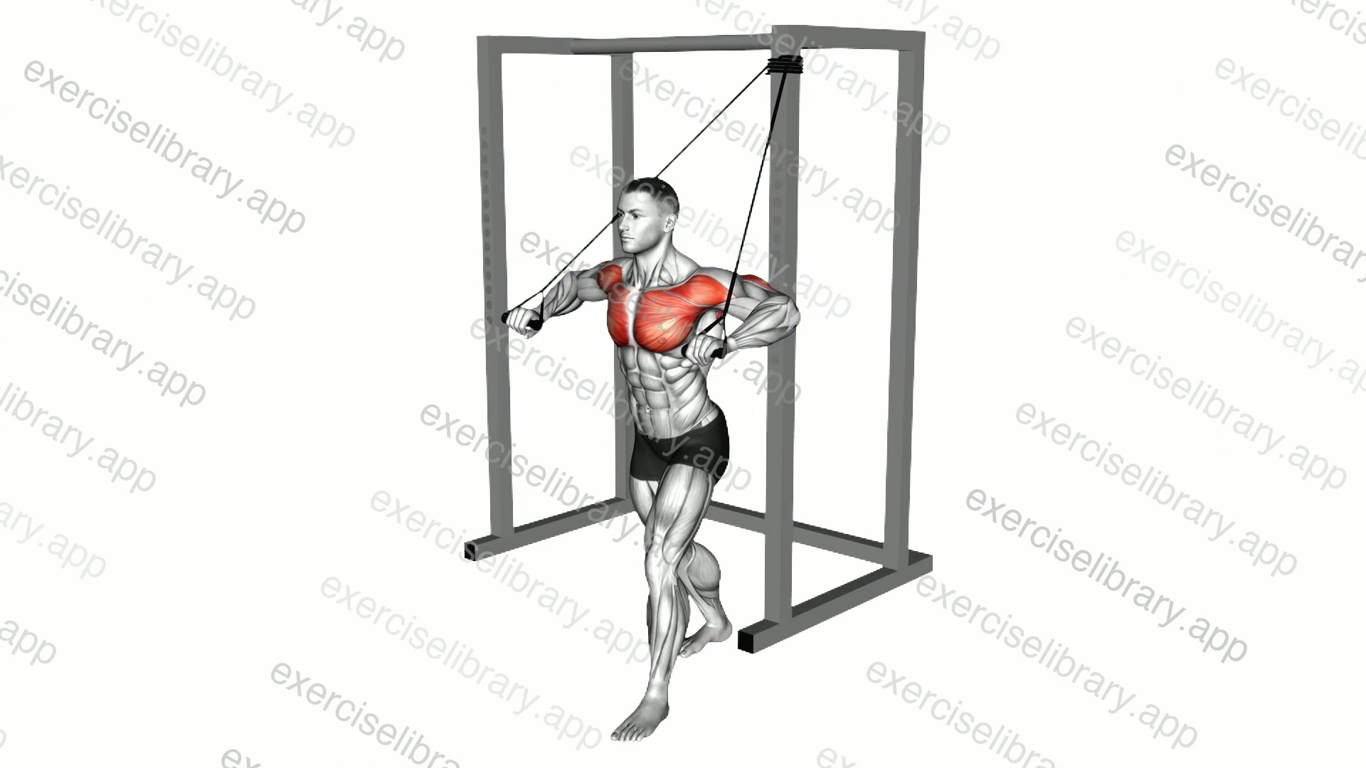 Band Low Chest Press demonstration