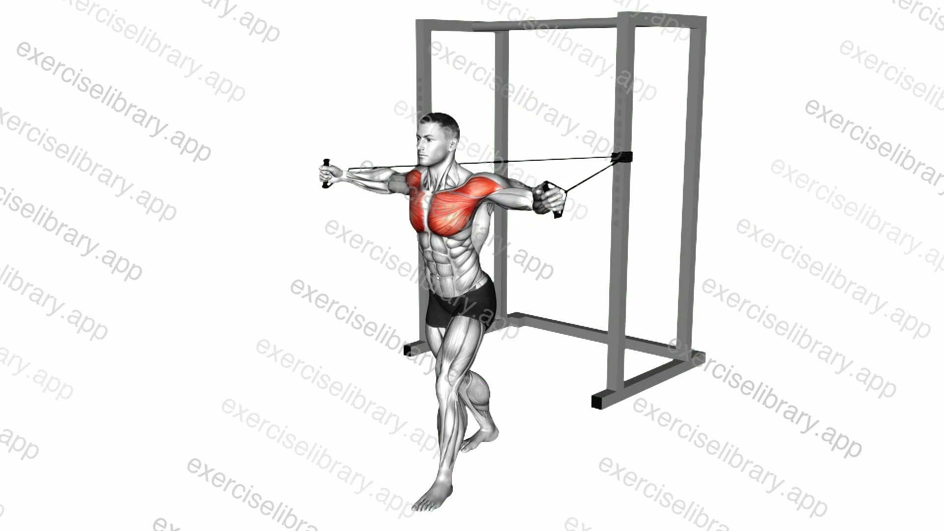 Band Chest Fly demonstration