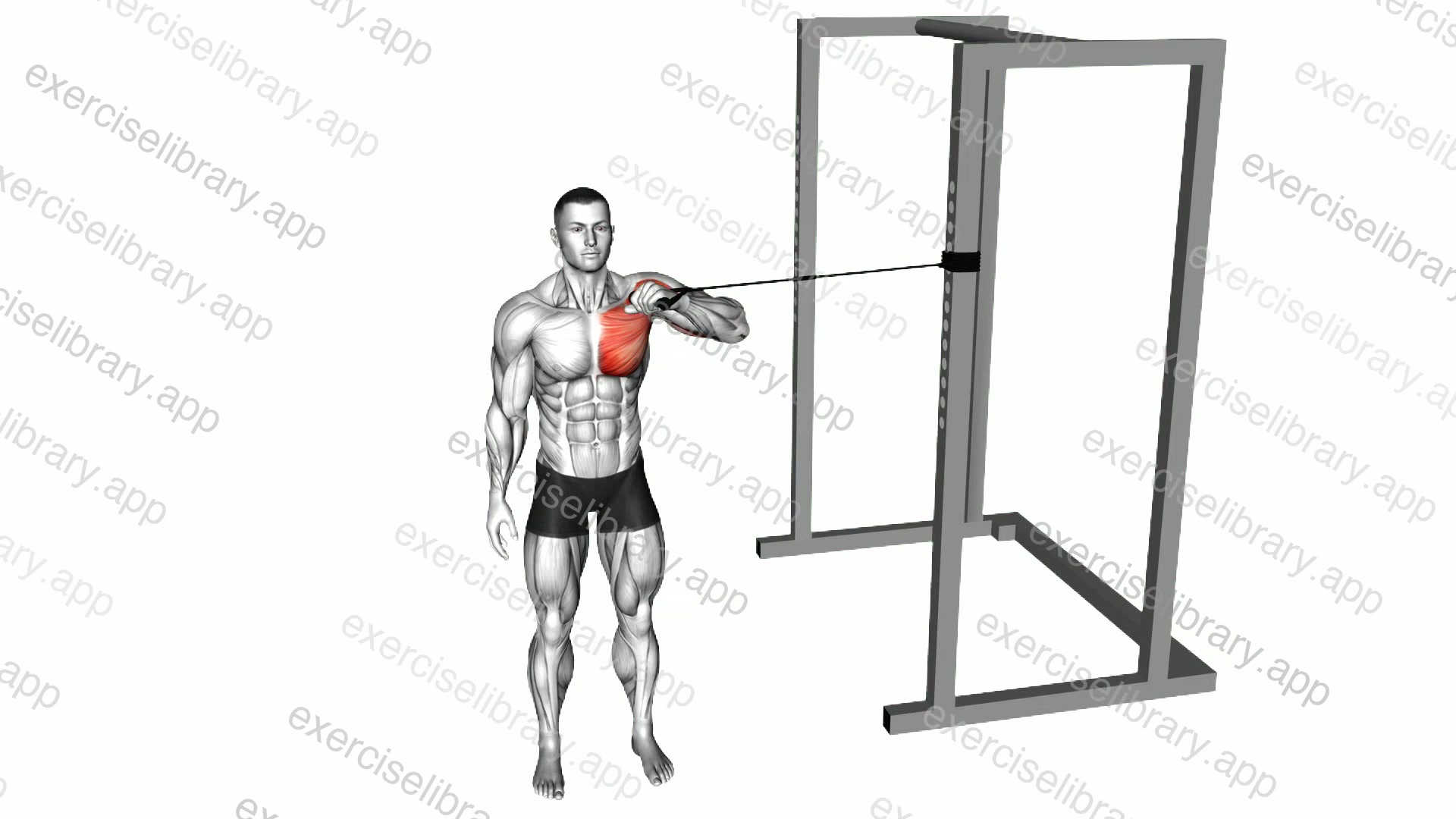 Band Cross Body One Arm Chest Press demonstration