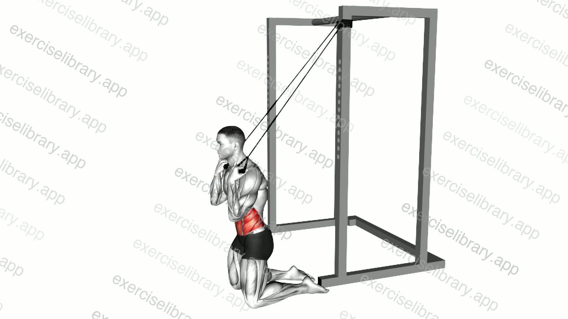 Band Kneeling Crunch demonstration