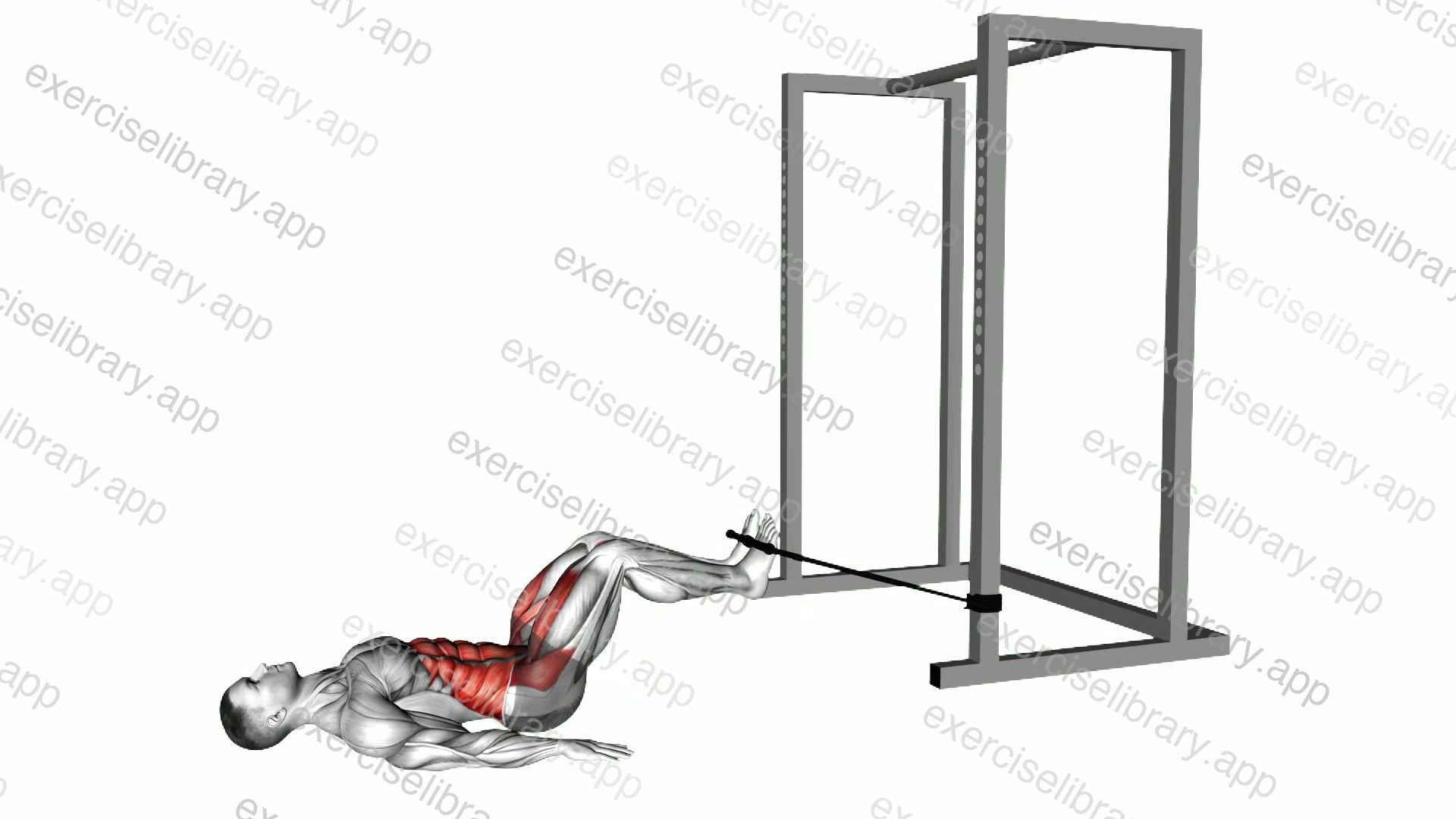 Band Reverse Crunch demonstration