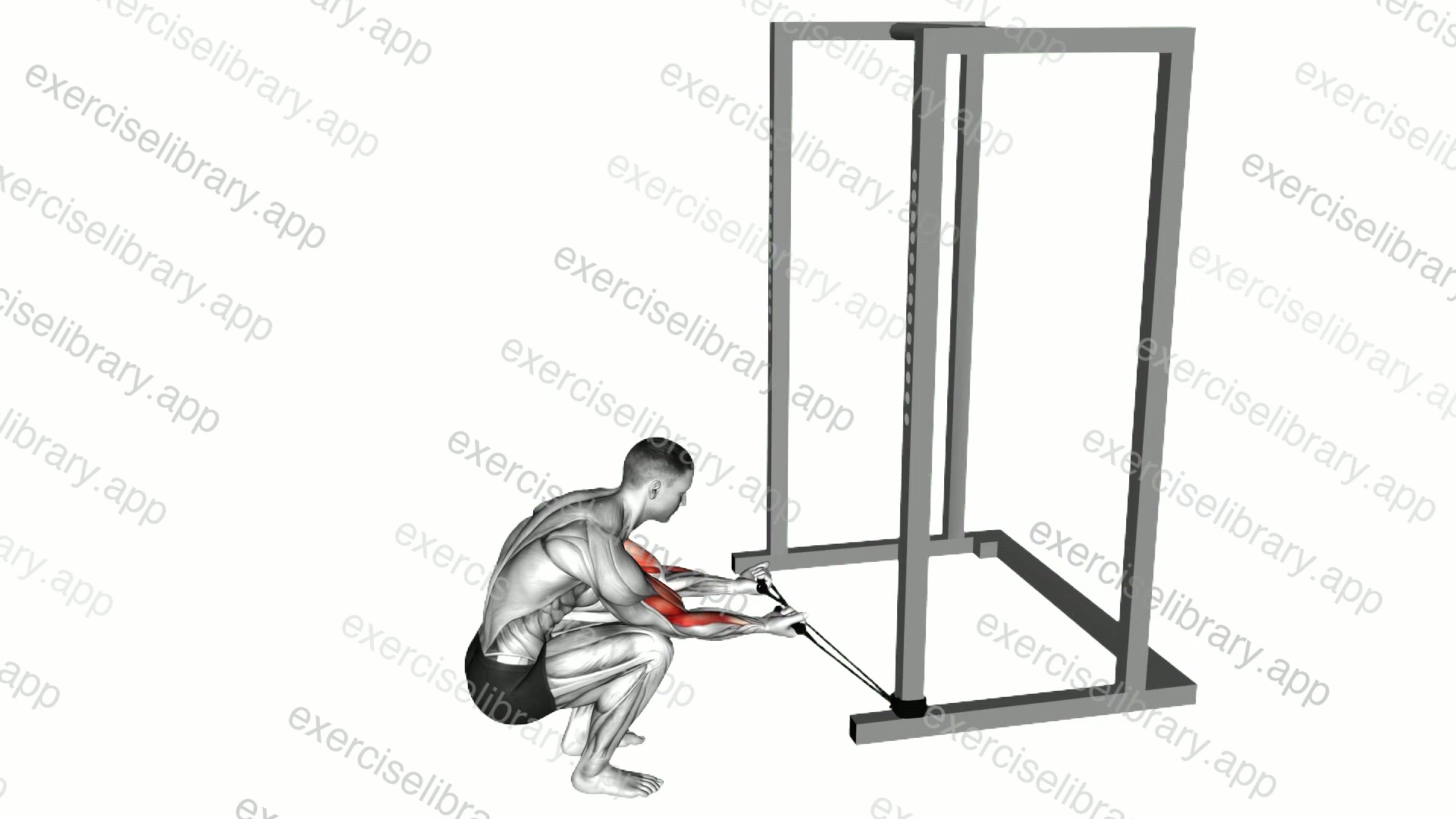 Band Kneeling Preacher Curl demonstration