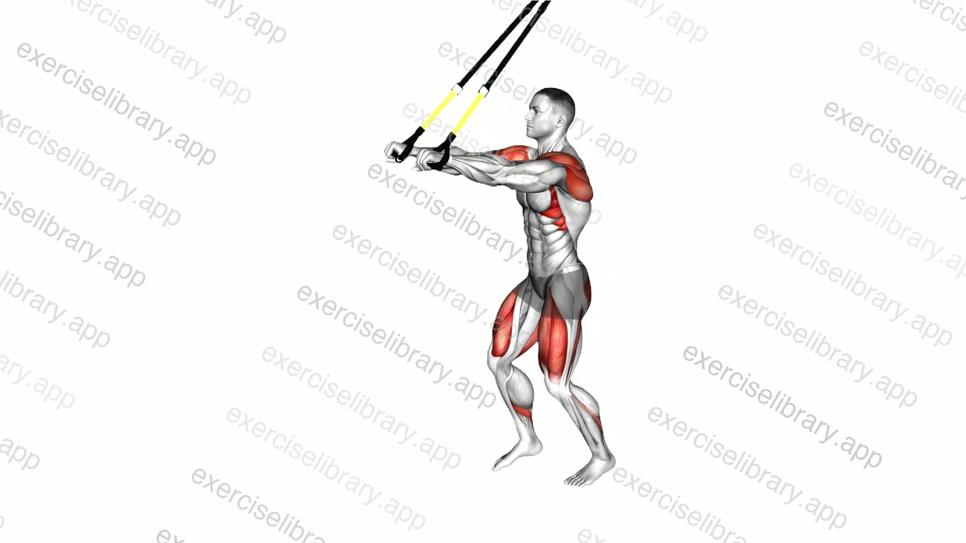 Suspender Forward Lunge with Rear Fly demonstration