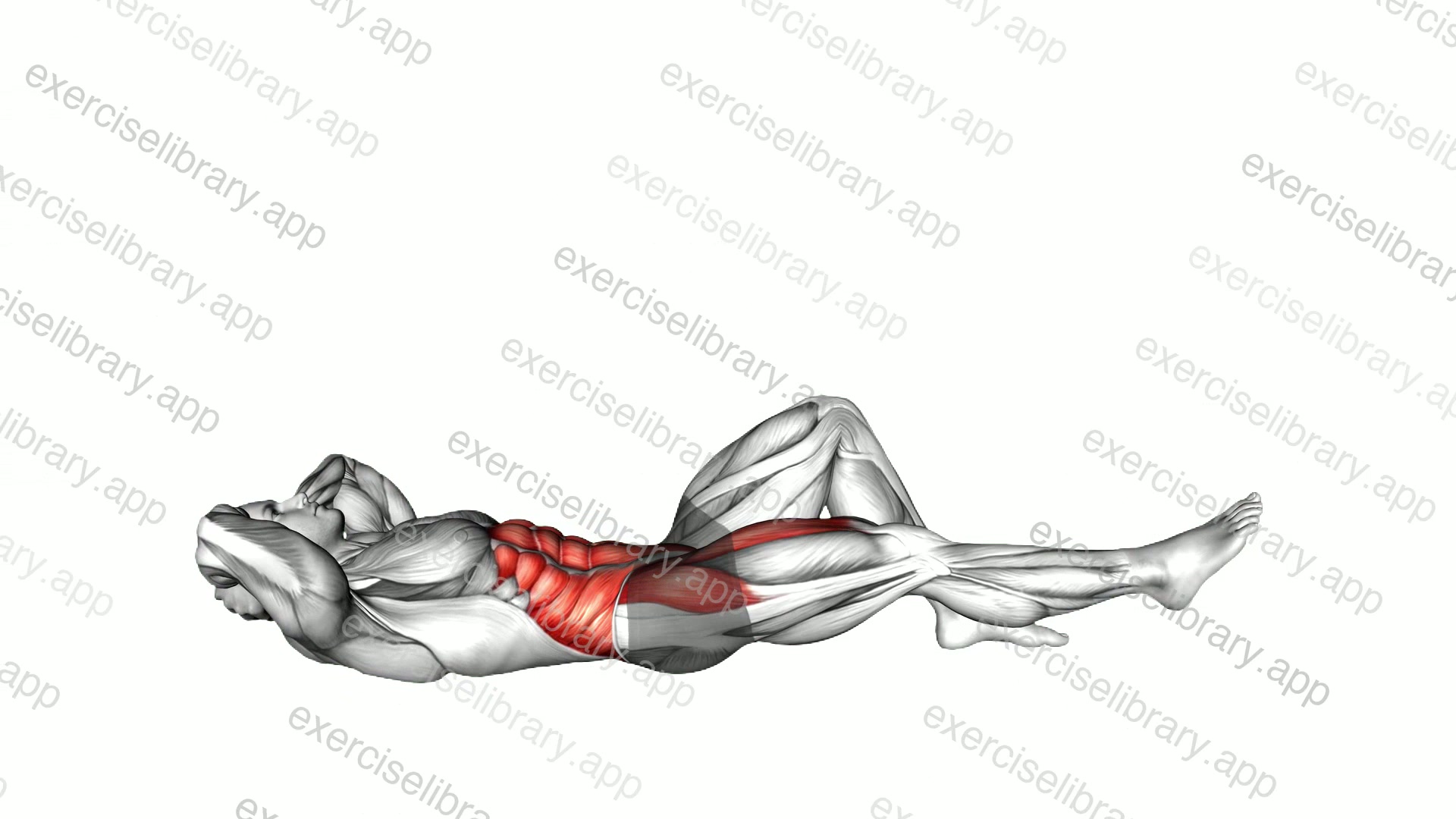 Crunch with Leg Lift demonstration