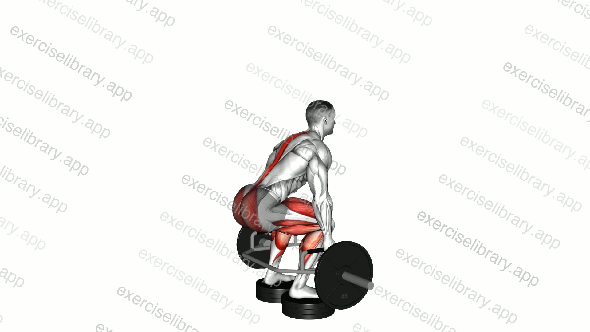 Trap Bar Deadlift from Deficit demonstration