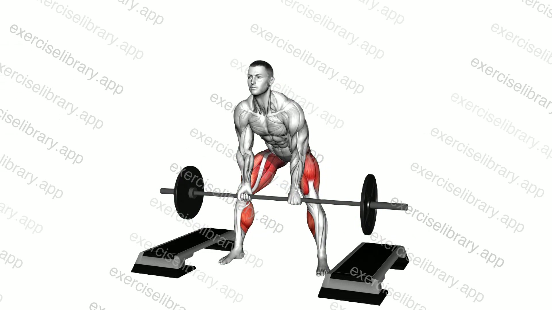 Barbell Sumo Deadlift from Blocks demonstration